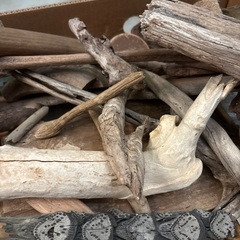 木材や流木などランダムの画像