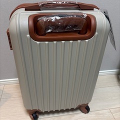 ライトグレー ハードシェルキャリーケースS 新品の画像