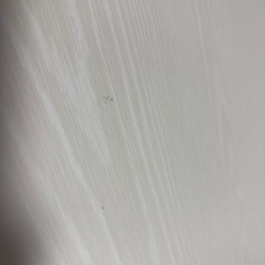 ニトリ 机
の画像