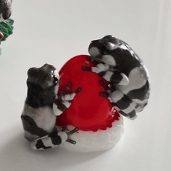 CB ジュウジメドクアマガエル(ミルキーフロッグ)の画像