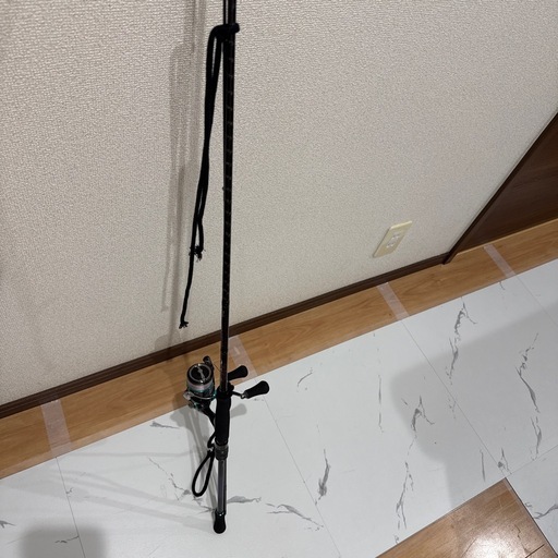 エメラルダス　竿、リール　　　エギ