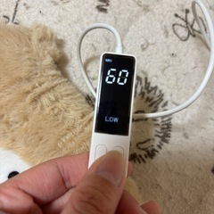 電気アイマスクの画像