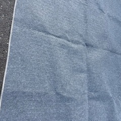 ホットカーペットの画像