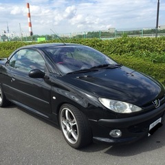 プジョー206CC ガルウイング仕様の画像
