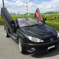 プジョー206CC ガルウイング仕様