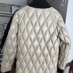 レーシングダウンの画像