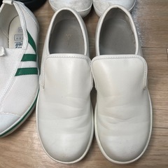 運動や職場や学校にも！単品もまとめ売りも可の画像