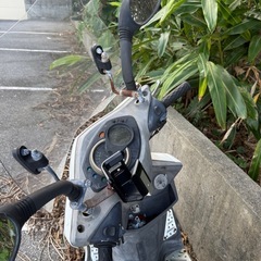 シグナスxの画像