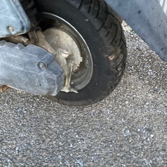 ヤマハ ギア UA03J ※ジャンク　輸出や直せる方に　パーキングスタンドの画像