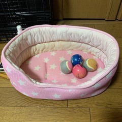 ペット用色々の画像