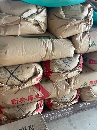 令和7年産　コシヒカリ　玄米30kg 袋訳あり