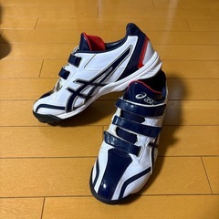 野球用トレーニングシューズの画像