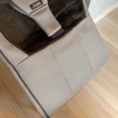 リッチェルバウンサーの画像