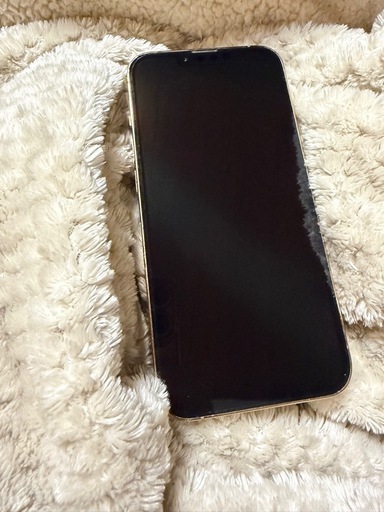 携帯電話/スマホ iPhone 13pro  256G