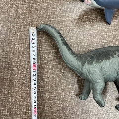 恐竜３匹＆鮫２匹の画像