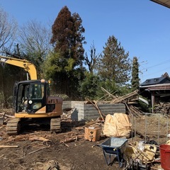 差し上げます。伐採木　　抜根済み
の画像