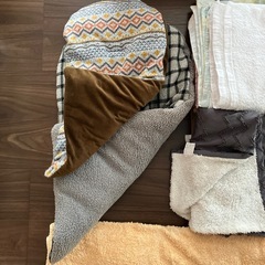 飼い猫使用済みタオル、クッションの画像