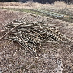 木　薪用の画像