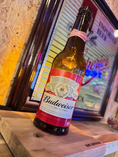 【SIN GARAGE】おしゃれボトルライトBudweiser ボトルライト 100V電源 ハンドメイド 間接照明