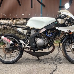 TZR50不動！(4EU)の画像