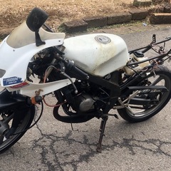 TZR50不動！(4EU)の画像