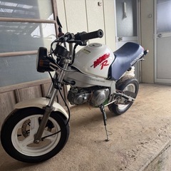 モンキーR   カスタムベース　
の画像