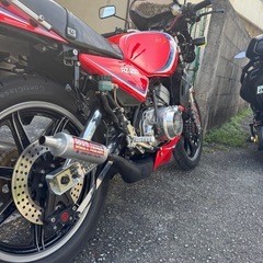 YAMAHA RZ250の画像