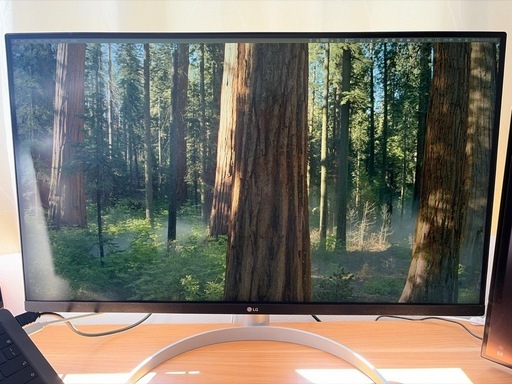 LG４Kモニター 32UP550N-W