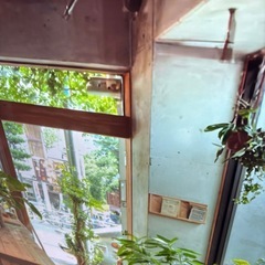 Google TV43インチ.４ｋの画像