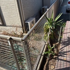 フェンスの画像