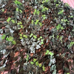 パーテーション
の画像