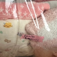 【お話中】女の子服 紙袋2個分サイズ50-80の画像