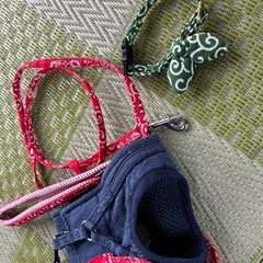 猫 お散歩用 ハーネス バンダナ 首輪 2点セット の画像