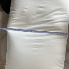 クッションの中身
の画像