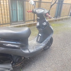 SYM 100cc スクーター / 37000km / 現状販売 / 格安 / 直接引き渡し / 湯河原・熱海の画像