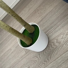 フェイクグリーンの画像