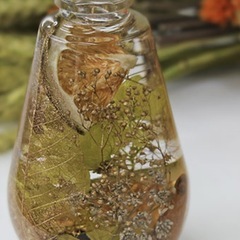 ハーバリウム オイル  差し上げます！の画像