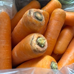 訳ありにんじん4本の画像