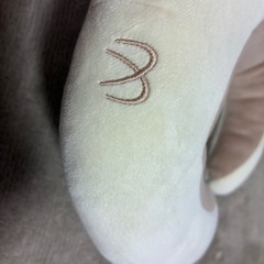 ちゃんと読んで下さいの画像