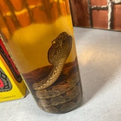 うるま　ハブ酒　ハブ入　沖縄名産　熟成　未開栓の画像