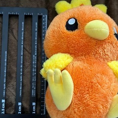 ポケモン ぬいぐるみ イーブイ＆アチャモ セット の画像