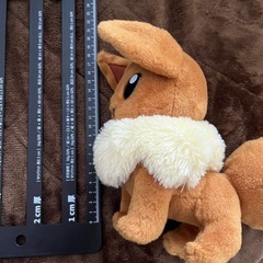 ポケモン ぬいぐるみ イーブイ＆アチャモ セット の画像