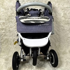 AirBuggy エアバギー ココ ブレーキモデル
の画像