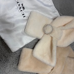 洋服・小物8点セット COACH巾着付きの画像