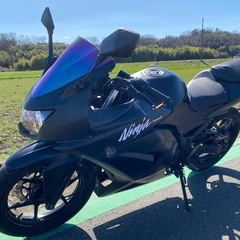 実働 自賠責付 カワサキ Ninja ニンジャ 250R JBK-EX250K グリップタイヤ 社外マフラー アクラポビッチ LEDテールの画像