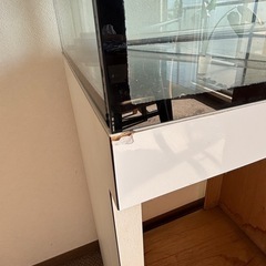 60×60オーバーフローガラス水槽の画像