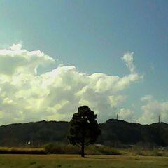 【トイカメラ】写真友達募集中【初心者】 - 友達