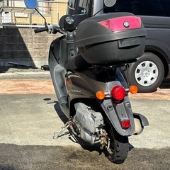 HONDA  トゥデイ 原付 スクーターの画像