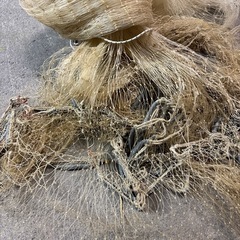 投網　漁具の画像