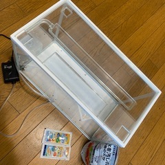 蓋付き水槽  縦20✖️横幅40✖️高さ28の画像